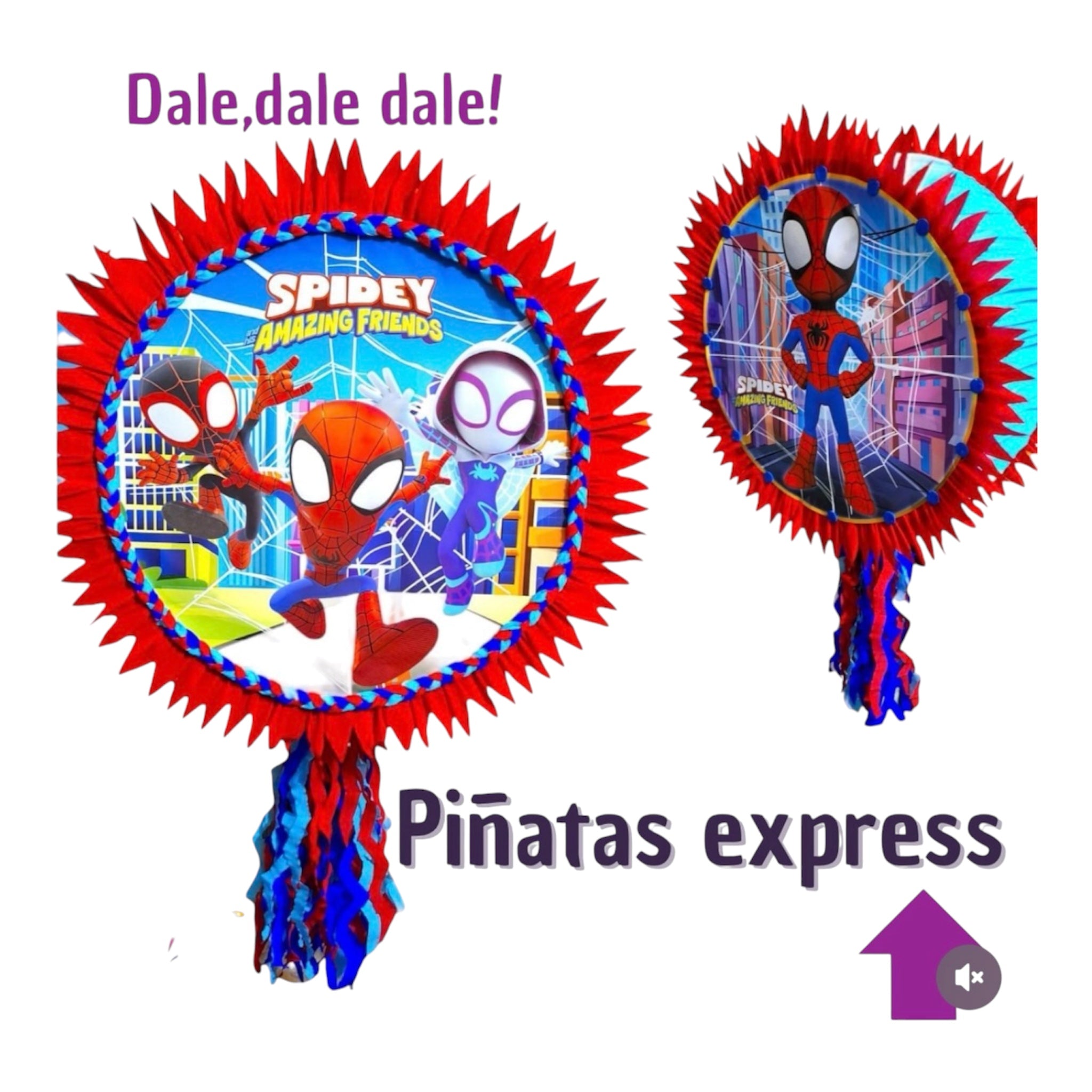Custom Express Piñatas - Urgent 24h / 48h Service (Various Themes Available)